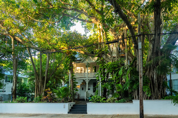 Serene vacation neighborhood with iconic wooden house and tropical vegetation