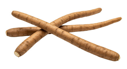 Isolated burdock roots, healthy root vegetables, nutritious food, ingredient for cooking