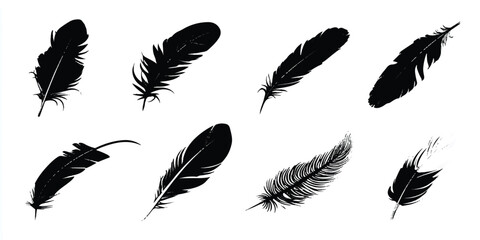 Elegant collection of black feathers on white background providing striking contrast for creative projects and design elements