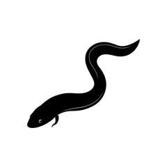 Illustration of a black eel on white background on transparent background silhouette