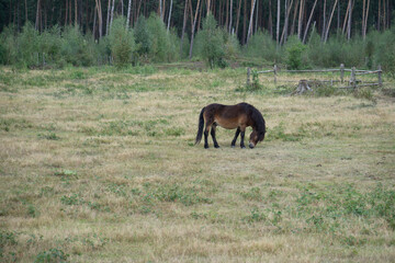 Region Teutoburger Wald