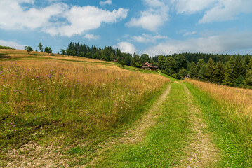 Summer near Chata Kamenity hut in Moravskoslezske Beskydy mountains