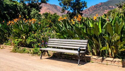 A sunny outdoor park scene features a wooden bench, lush tropical plants, and vibrant orange flowers against mountain backdrop