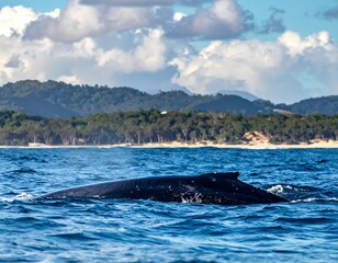 Whale fin in ocean, mountains and clouds
