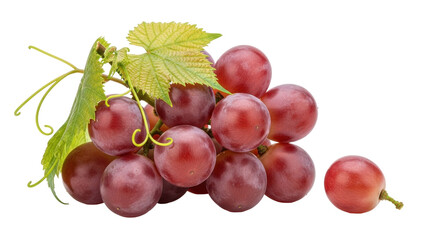 Isolated fresh red grapes with green leaves offer a healthy and tasty snack or dessert