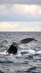 Whale tail breaching the ocean surface