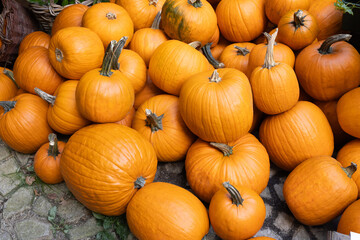 Vibrant orange pumpkins of various sizes are piled together on a textured surface, showcasing their natural beauty and seasonal charm, perfect for autumn celebrations and decorations background