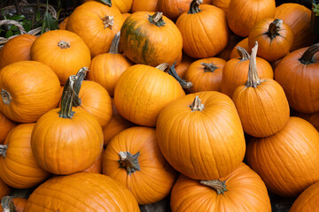Vibrant orange pumpkins with varying sizes and textures are stacked together in a natural setting, showcasing the essence of autumn harvest and seasonal abundance background