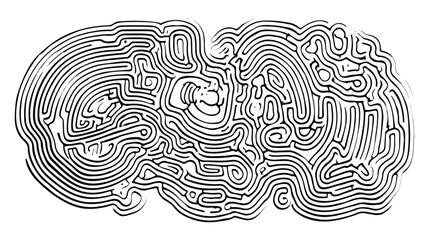 Enigmatic Labyrinthine Journey into the Intertwined Enigma