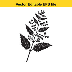 Vector art of black silhouette of a plant branch with leaves and berries