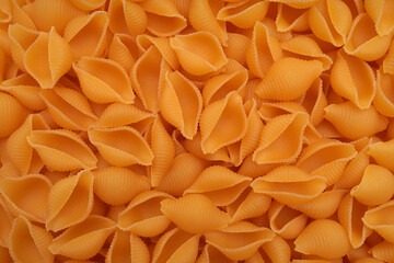 Dry conch shell pasta close-up.
