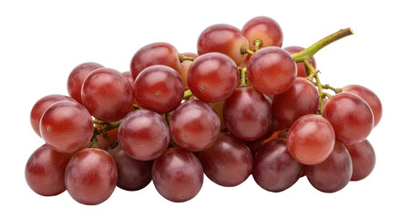 Isolated bunch of red grapes, healthy fresh fruit for eating or making juice, still life
