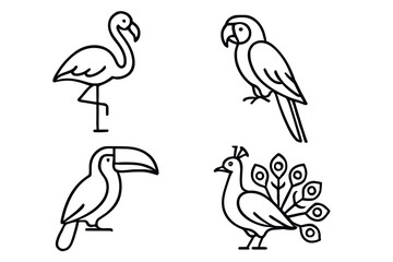 Obraz premium Set of simple line art bird icons: flamingo, parrot, toucan, peacock