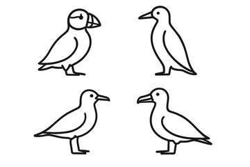 Outline drawings of different bird species: puffin, gull, albatross, and penguin