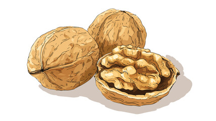 Walnuts Food Vector Style Design with Outline