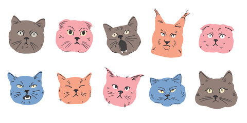Realistic cat heads in modern flat handdrawn style with detailed faces and clean shapes, a portrait pack for posters, stickers and decorative design.