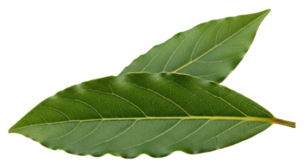 Isolated bay leaves ready for cooking, adding flavor to dishes with fresh herbal aroma