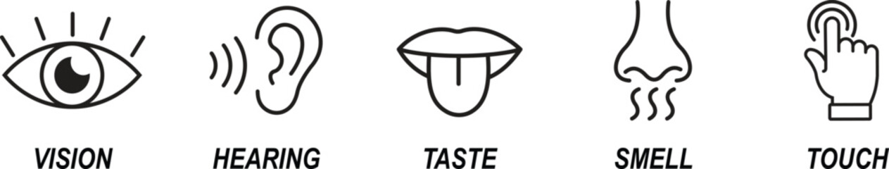 Human senses icon set. Five human senses icons isolated on transparent background. Vision, smell, hearing, touch and taste senses filling sign. Five senses of human nervous system. Vector illustration