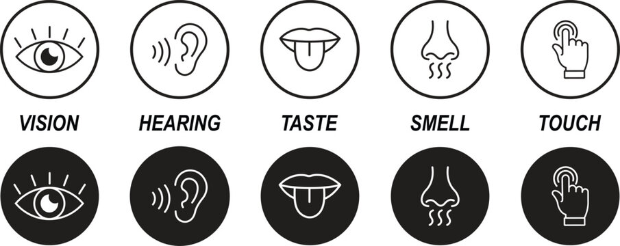 Human senses icon set. Five human senses icons isolated on transparent background. Vision, smell, hearing, touch and taste senses filling sign. Five senses of human nervous system. Vector illustration