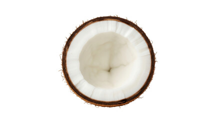 Isolated half of coconut, close up of a tropical fruit with brown shell and white edible pulp
