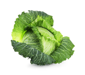 One fresh Savoy cabbage isolated on white