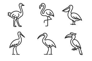 Outline illustrations of various birds including flamingo and pelican