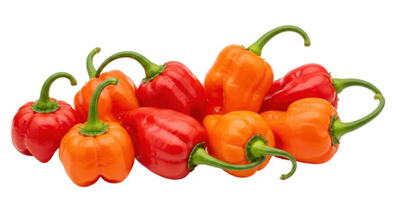 Isolated Pile of Red and Orange Scotch Bonnet Peppers, a Culinary Ingredient for Spice and Flavor