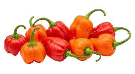 Isolated Pile of Red and Orange Scotch Bonnet Peppers, a Culinary Ingredient for Spice and Flavor