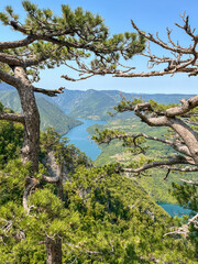 Canyon river meandering among green forested mountains; nature landscape photography under clear blue sky