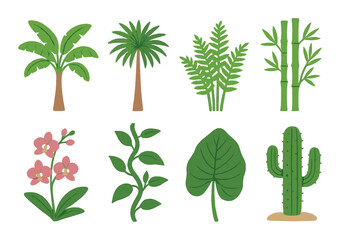 Naklejka premium Tropical plant collection: palm, bamboo, orchid, fern, and cactus illustrations