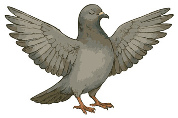 Graceful Columba livia showing unique pose