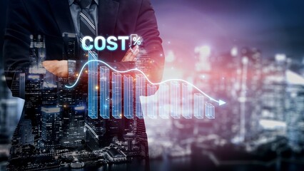 Cost reduction and cost saving through digital transformation, business cost optimization, operational cost reduction, financial savings, and resource efficiency strategies for business success. Muxer