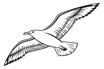 Seagull Flying Vector Art on Clean White Background for Design Projects