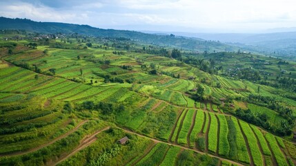 Aerial View of Lush Green Terraced Farmlands in Rural Africa