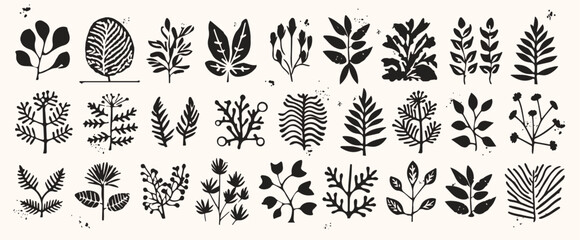 Collection of native botanical leaves and plants in black silhouette style.Natural foliage elements. Hand drawn monochrome primitive. Unusual organic forms in matisse style.Isolated white background.  © Danchenko