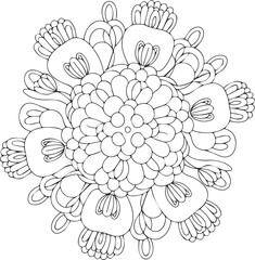 Intricate floral line art rangoli design for festive celebrations and coloring pages