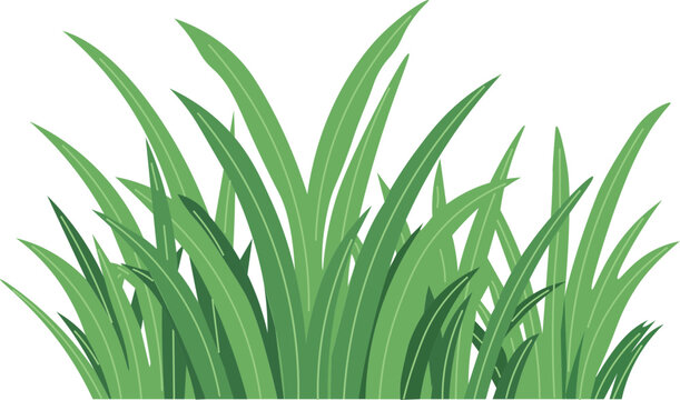 tall grass against a bright white backdrop creating a minimalist botanical design with a nature inspired aesthetic silhouette vector