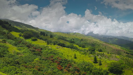 Fototapeta premium Aerial drone view showcasing the vibrant, verdant landscape of Tahiti, with lush vegetation covering rolling hills under a dynamic sky filled with clouds