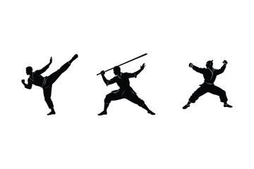 Fighting Pose Martial Arts Graphic Collection
