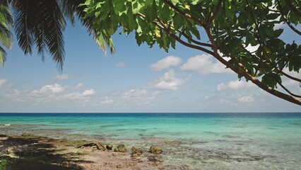 Palm trees and tropical vegetation framing a seascape with turquoise water, rocks, and white clouds in a sunny day create a perfect vacation spot. Travel background, idyllic exotic paradise. Static