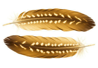 Isolated pair of golden brown feathers with tan markings, nature element, lightness, beauty
