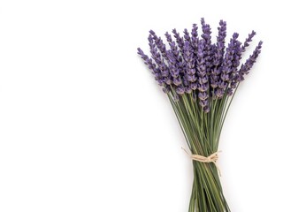 Fototapeta premium Elegant bundle of fragrant lavender sprigs tied with twine on a pristine white surface