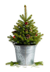 A small christmas tree in a silver bucket, isolated on transparent background the tree is decorated with small red and gold ornaments, and pine cones some fir tree branches are on the ground around th