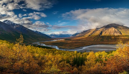 Fototapeta premium denali national park teklanika river valley