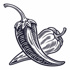 Pepper Vector Image. Illustration Chili Pepper Engraving Style Design Vector On White Background.