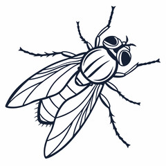 Fly Vector Image. Insect Fly Image vector Isolated on White Background.