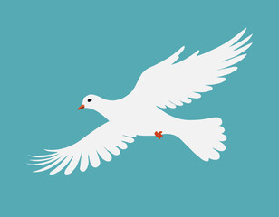 Flying white dove symbol of peace. Flying Dove Illustration isolated on white background.