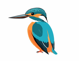 Common Kingfisher Bird image vector. Illustration of Common Kingfisher Bird image isolated on white background.
