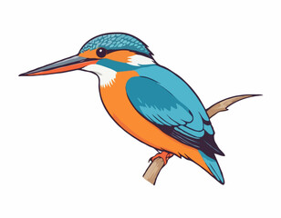 Common Kingfisher Bird image vector. Illustration of Common Kingfisher Bird image isolated on white background.