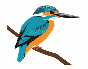 Common Kingfisher Bird image vector. Illustration of Common Kingfisher Bird image isolated on white background.